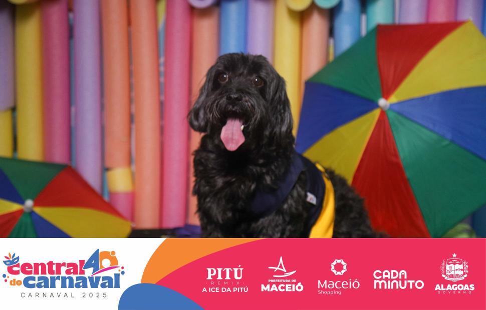 Bailinho-Pet-Maceio-Shopping-05-03-2024 (103)