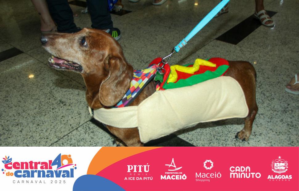 Bailinho-Pet-Maceio-Shopping-05-03-2024 (109)
