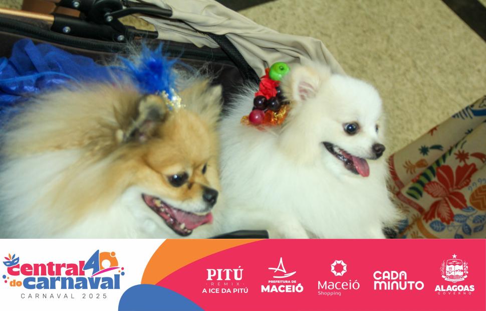 Bailinho-Pet-Maceio-Shopping-05-03-2024 (112)