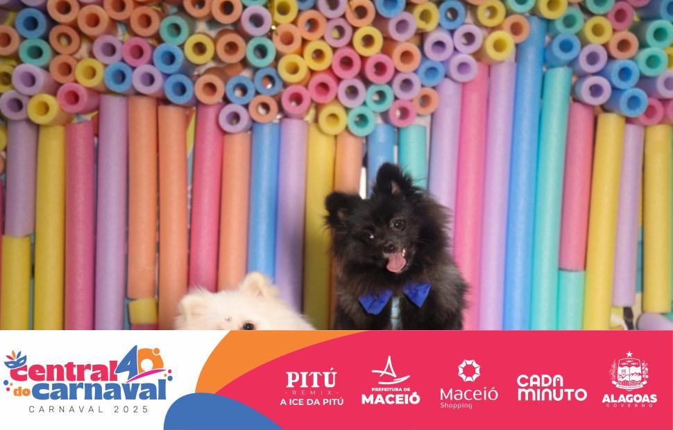 Bailinho-Pet-Maceio-Shopping-05-03-2024 (17)