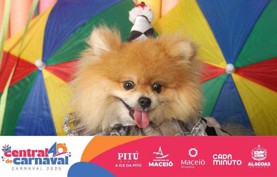 Bailinho-Pet-Maceio-Shopping-05-03-2024 (18)