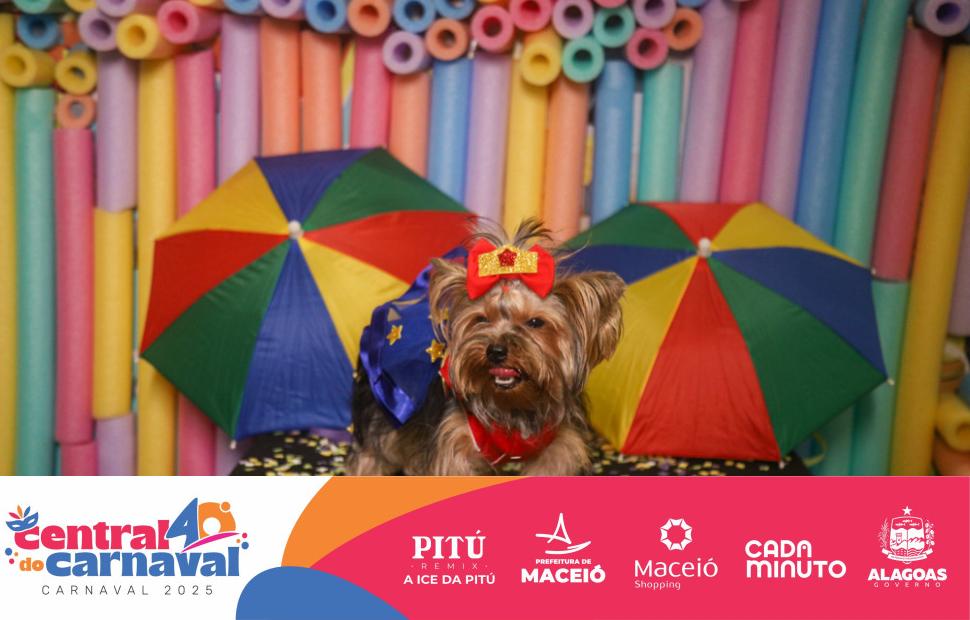 Bailinho-Pet-Maceio-Shopping-05-03-2024 (21)