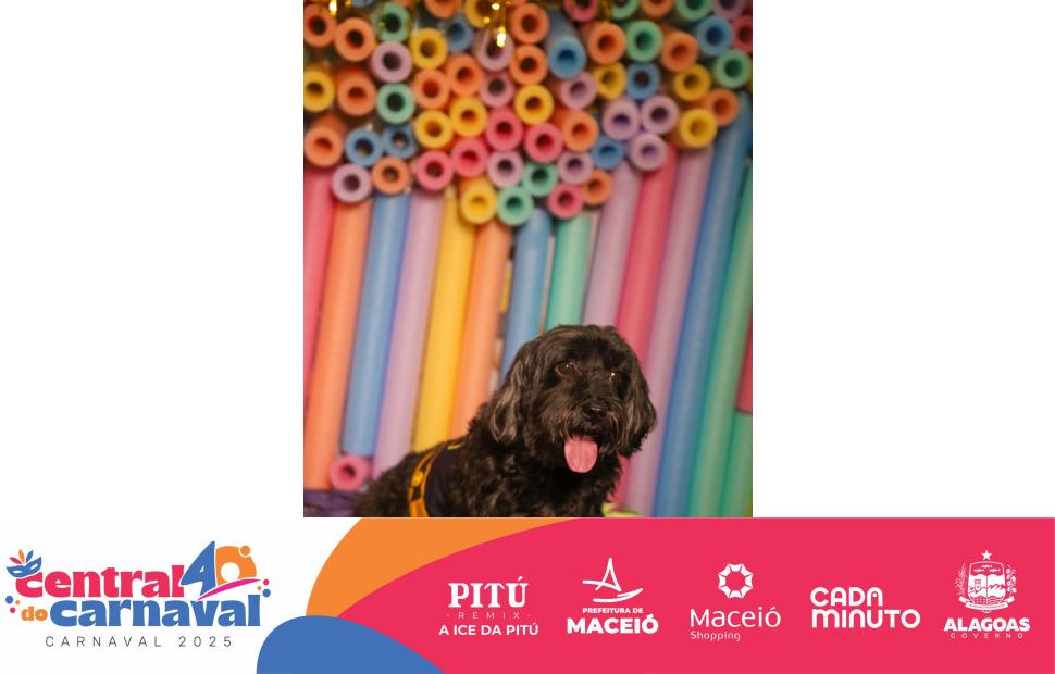 Bailinho-Pet-Maceio-Shopping-05-03-2024 (84)
