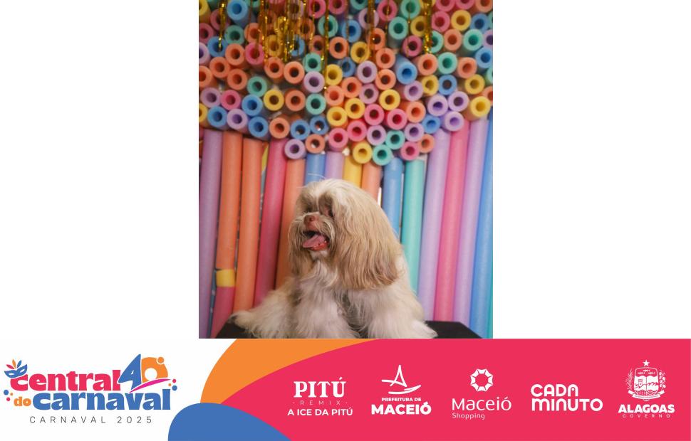 Bailinho-Pet-Maceio-Shopping-05-03-2024 (93)