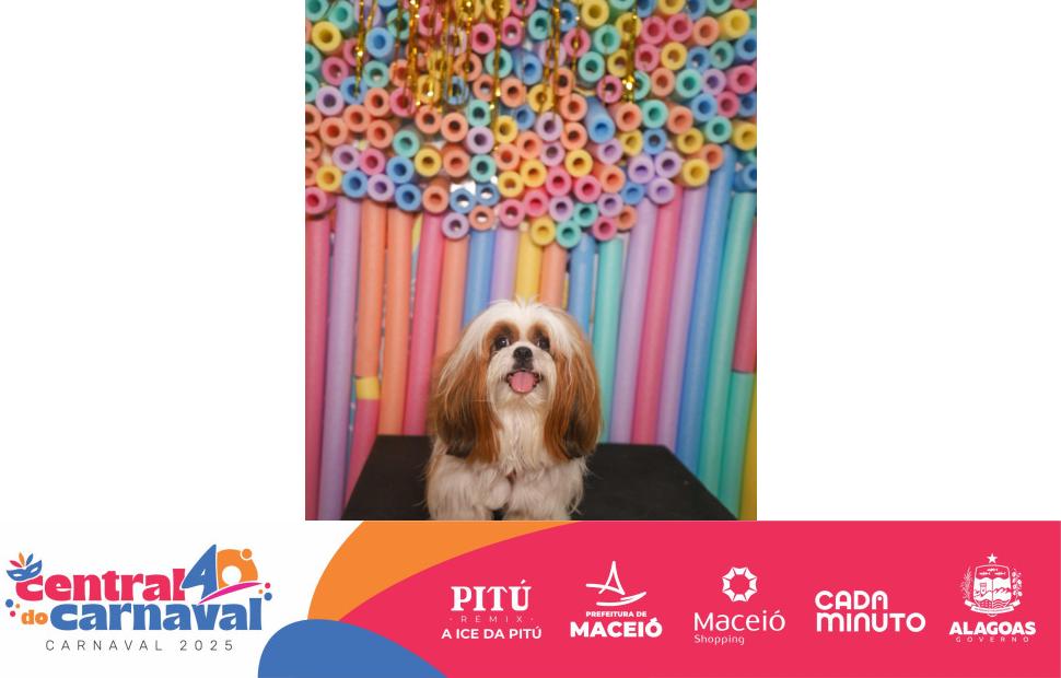 Bailinho-Pet-Maceio-Shopping-05-03-2024 (95)