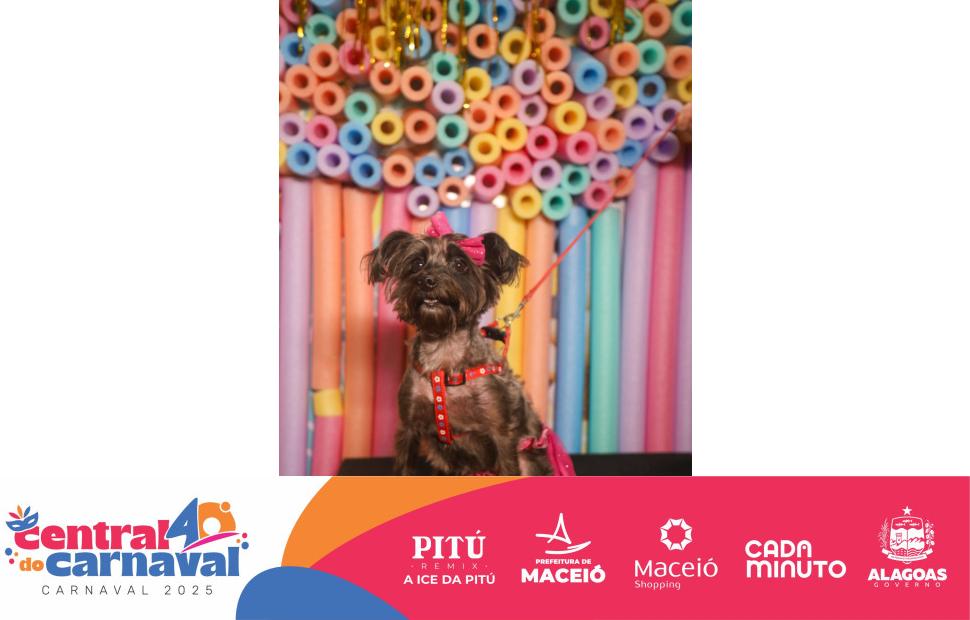 Bailinho-Pet-Maceio-Shopping-05-03-2024 (97)