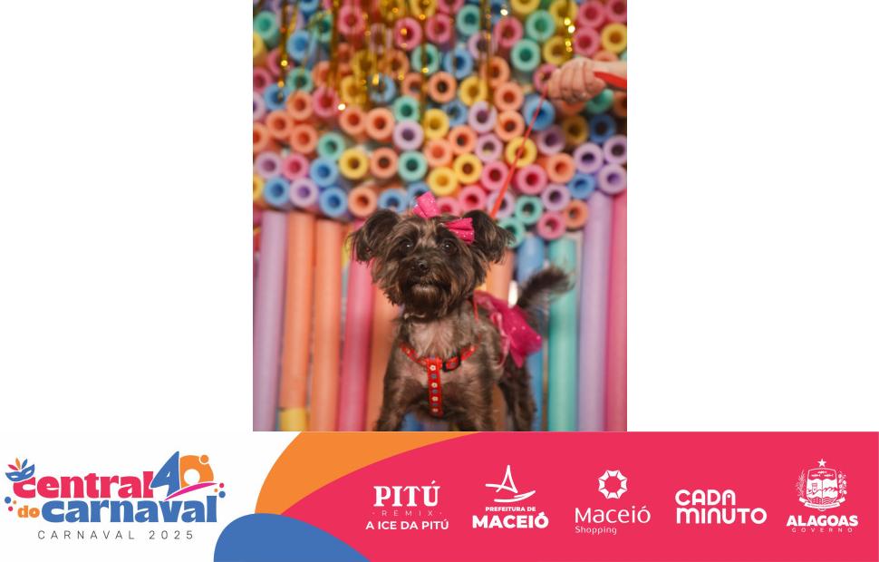 Bailinho-Pet-Maceio-Shopping-05-03-2024 (98)