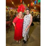 Arraiá (50)