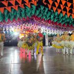 festival-de-quadrilha-Mercado-das-artes-31- 2,-,6-2,25 (2)
