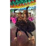 festival-de-quadrilha-Mercado-das-artes-31- 2,-,6-2,25 (44)
