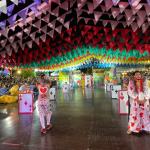 festival-de-quadrilha-Mercado-das-artes-31- 2,-,6-2,25 (73)