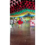 festival-de-quadrilha-Mercado-das-artes-31- 2,-,6-2,25 (75)