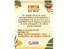 Curta “Irineia: o barro habita em mim”