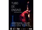 Espetáculo “Tubo de Ensaio”, de Ana Gal