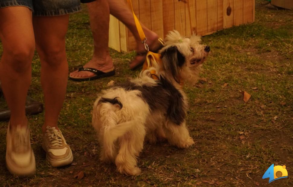 C-Festival-Alagoaníssimo-20-07-2025 (23)