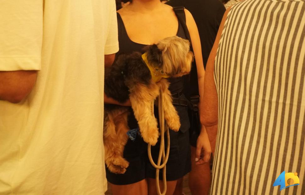 C-Festival-Alagoaníssimo-20-07-2025 (44)