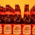 Lançamento-Budweiser-na- Lopana – 15-03-2011 (115)