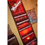 Lançamento-Budweiser-na- Lopana – 15-03-2011 (151)
