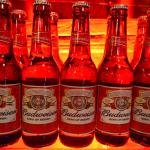 Lançamento-Budweiser-na- Lopana – 15-03-2011 (152)