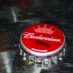 Lançamento-Budweiser-na- Lopana – 15-03-2011 (154)