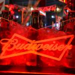 Lançamento-Budweiser-na- Lopana – 15-03-2011 (86)