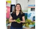 Nutricionistas garantem alimentação saudável a mais de 60 mil estudantes