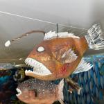 workshop-internacional-de poluição- plastica-nos-oceanos-17-09-2025 (173)