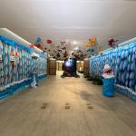 workshop-internacional-de poluição- plastica-nos-oceanos-17-09-2025 (222)