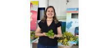 Nutricionistas garantem alimentação saudável a mais de 60 mil estudantes