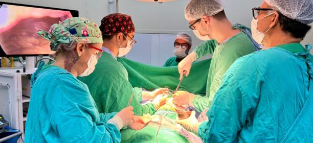 Mutirão Dia E no HUPAA-Ufal amplia acesso a serviços do SUS com 167 atendimentos realizados