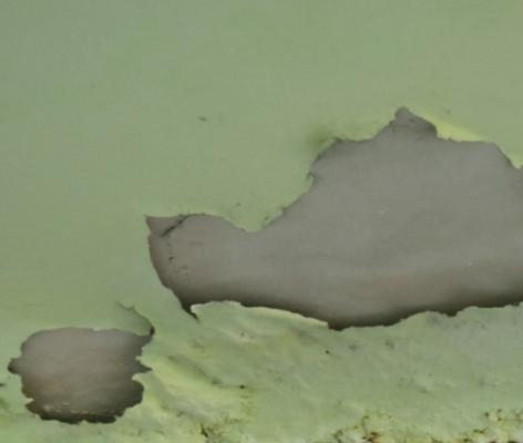 Manchas de umidade: Campanha “Detetive da Água” ensina a identificar vazamentos em casa