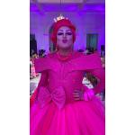 Desfile-Leilão -solidário-Rede-Feminina-de-Combate-ao-Câncer-Palácio-do-Martíros-31-10-2025 (26)-97