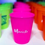 Festa-Para-Sempre-Marisrta-e-Aniversário-de-120-anos-do-colégio-08-11-205 (221)