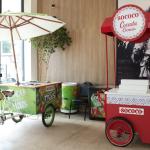 XXVI-SNNPqO-15-11-2025 (180)