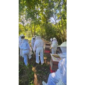 Programa Pescadores do Mel capacita mais de 20 pessoas nos Flexais e Coqueiro Seco