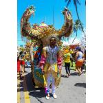 Abertura-de-Carnaval-Da-Liga-Carnaval-do-Édecio-Lopes-11-01-2026 (36)