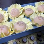 Aniversário- 9-anos-Joaquina-Balada-no-trem-07-01-2026 (133)