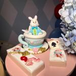 Aniversário- 9-anos-Joaquina-Balada-no-trem-07-01-2026 (139)