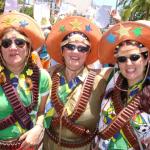 Desfile-do-Pinto-da-Madrugada-2006 (210)