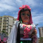 Desfile-do-Pinto-da-Madrugada-2006 (213)