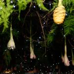 Réveillo-Cafe-de-La-Nusique-2017 (388)