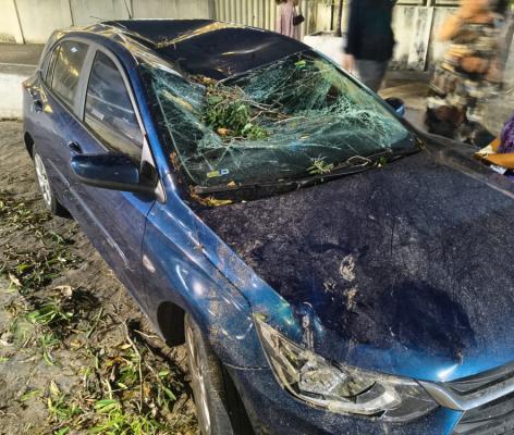 Ventania derruba árvore e atinge carro durante casamento no Corredor Vera Arruda