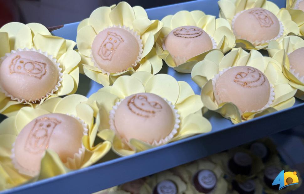 Aniversário- 9-anos-Joaquina-Balada-no-trem-07-01-2026 (133)