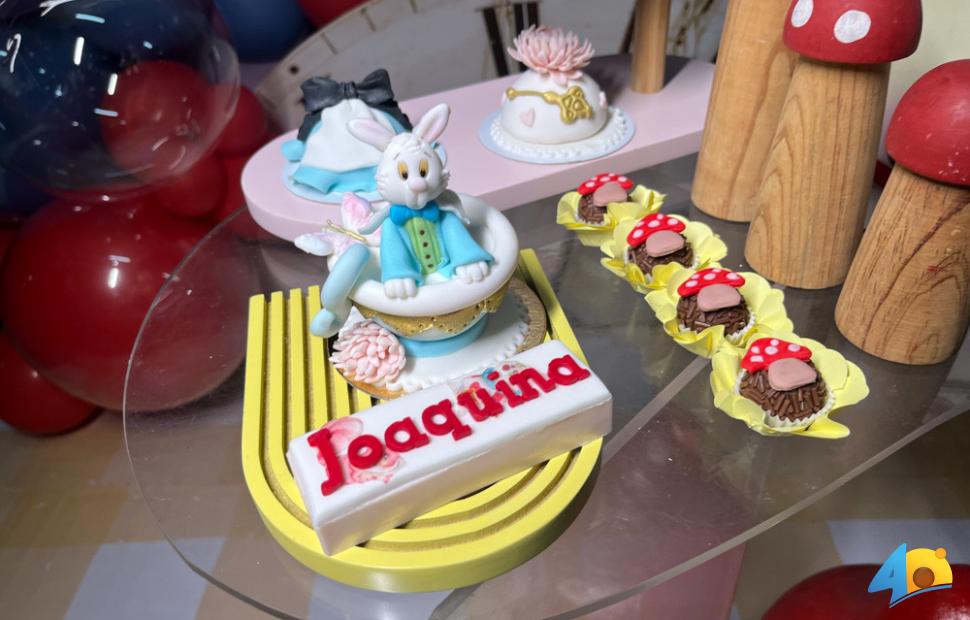 Aniversário- 9-anos-Joaquina-Balada-no-trem-07-01-2026 (98)