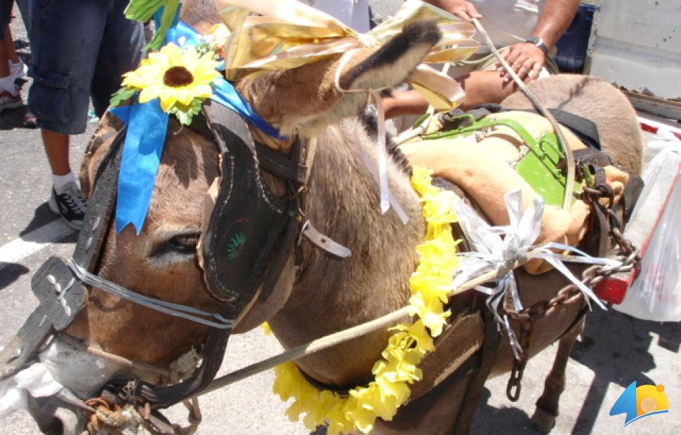 Desfile-do-Pinto-da-Madrugada-2006 (488)