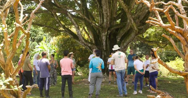 Circuito Corpo, Arte e Natureza promove imersão artística em meio à Natureza, em Maceió