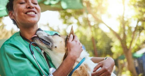 Farmácia veterinária gratuita pode se tornar realidade em Maceió