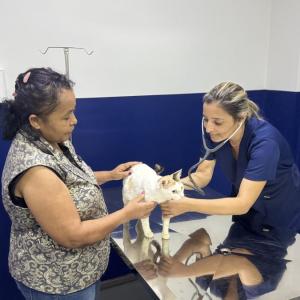 HC Pet muda histórias e leva mais saúde e dignidade aos pets de Maceió