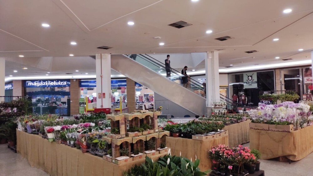 Maceió Shopping recebe Festival com mais de  200 espécies de flores e plantas ornamentais