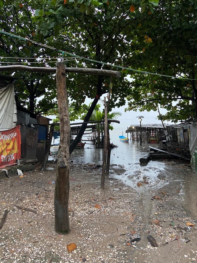Sururu desaparece da Lagoa Mundaú, deixando famílias sem sustento